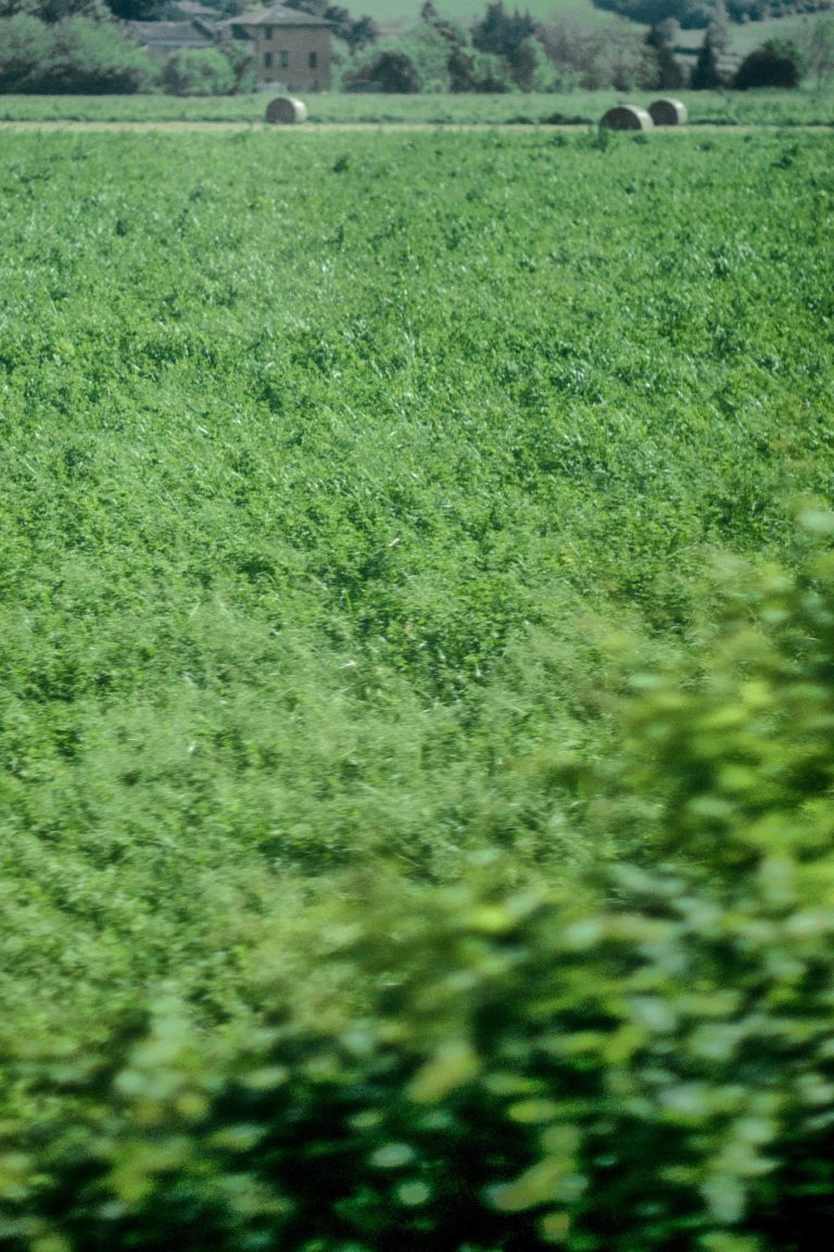 Terza Pagina #6