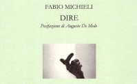 Fabio Michieli: dieci anni di “Dire”
