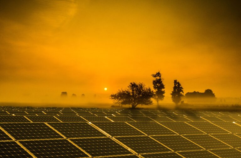 Solarpunk. Una breve guida alla decolonizzazione del Sole